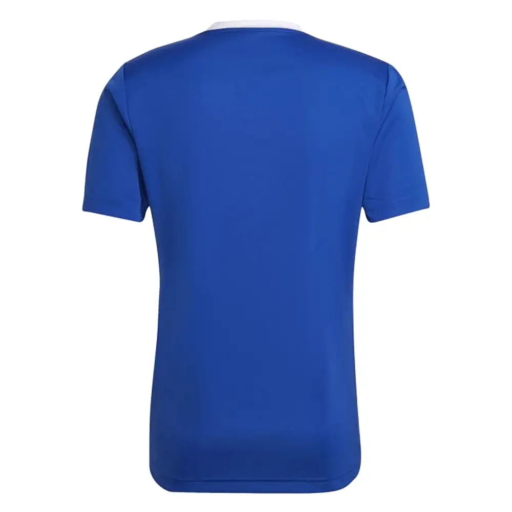 Adidas Youth Entrada 22 Jersey (Royal/White)