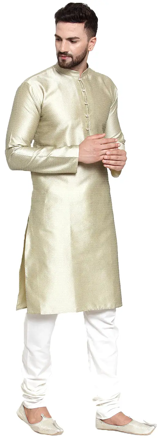 Self Design Men's Kurta pyjama Evening Wear India Apparel (Beige)